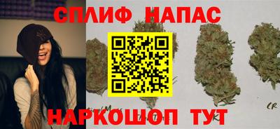 тгк Моздок