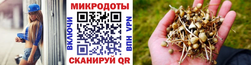 где продают наркотики  Торжок  Псилоцибиновые грибы Psilocybe 