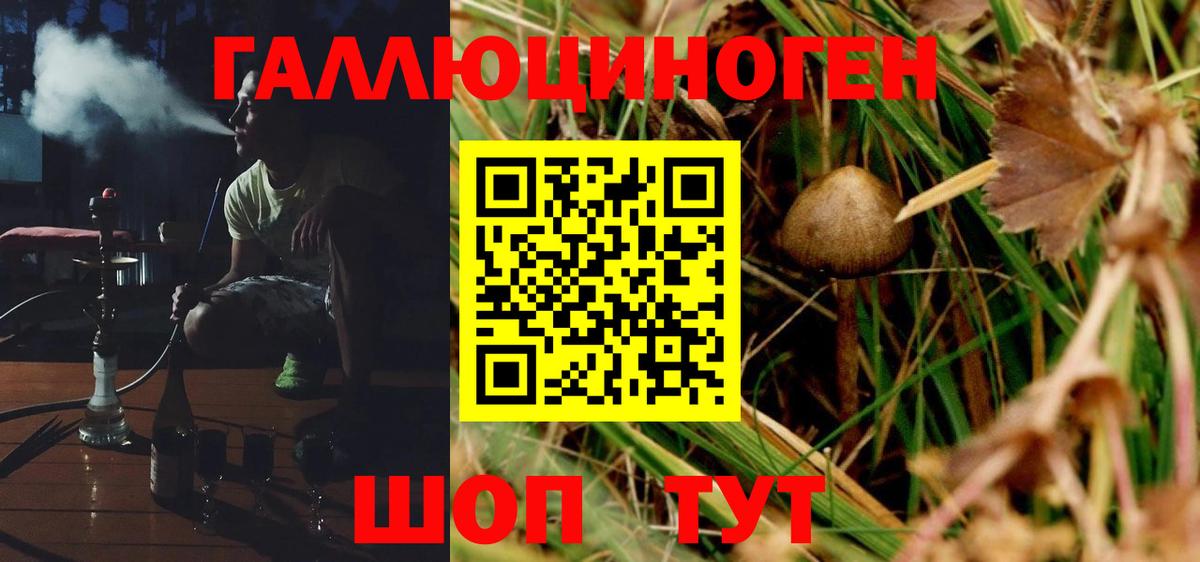 Галлюциногенные грибы ЛСД  Вход с VPN  Галлюциногенные грибы Psilocybine cubensis  Торжок 