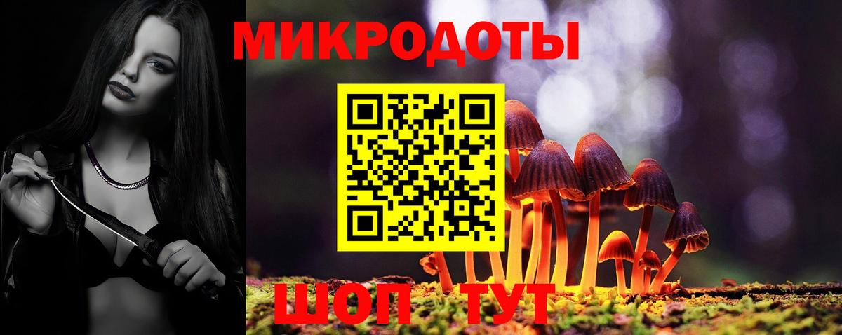 Псилоцибиновые грибы мицелий Торжок